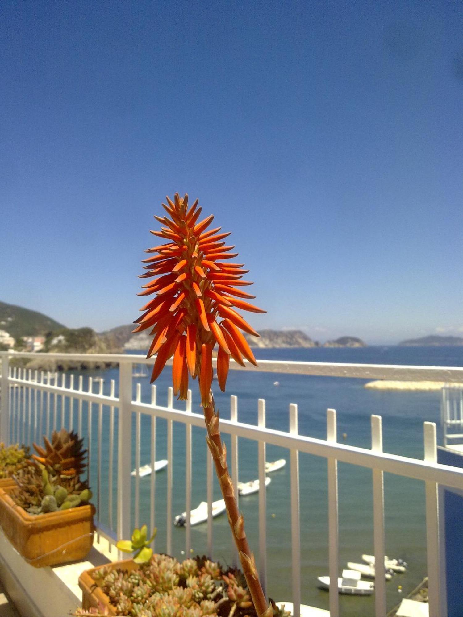 Hotel La Baia Ponza Eksteriør bilde